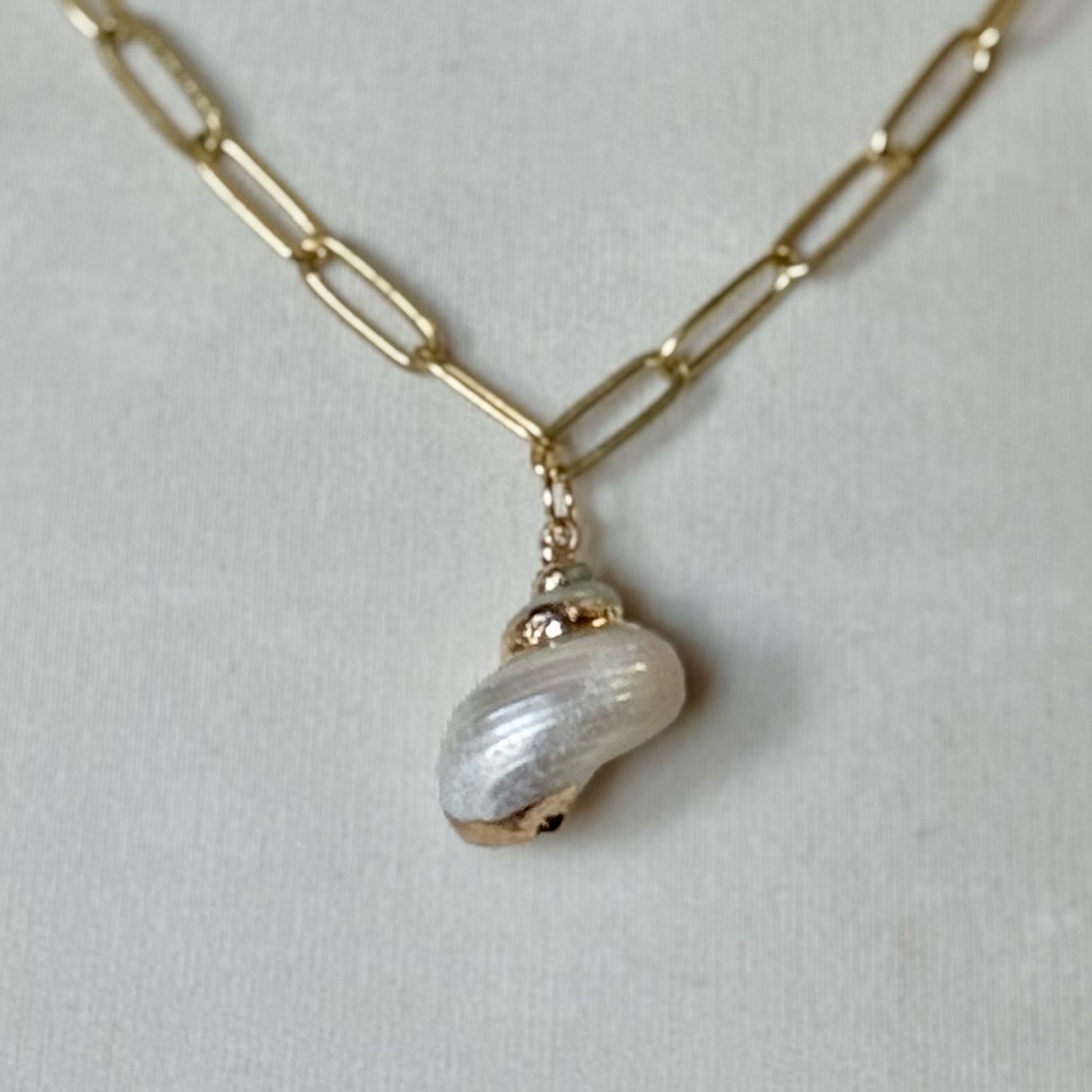 18K Gold Luxe Paperclip Chain Seashell Charm Necklace Choker